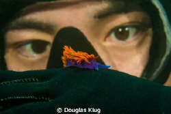 Eyeing Colors. A diver with a close-up encounter of a Spa... by Douglas Klug 